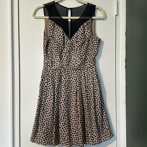 BCBGeneration Polka Dot Dress with Lace